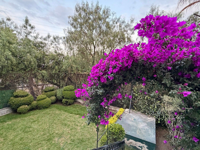 casa nueva en renta, lomas de la herradura. amplia, luminosa, jardín y terrazas