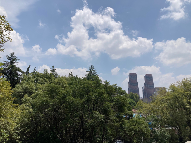 Departamento En Renta En Polanco