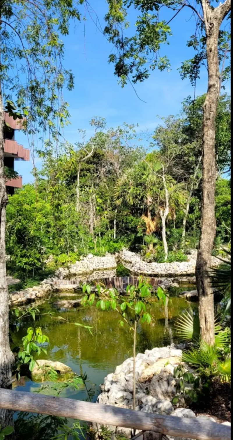 Departamento Lock-off En Selva Zama Tulum Para Inversión