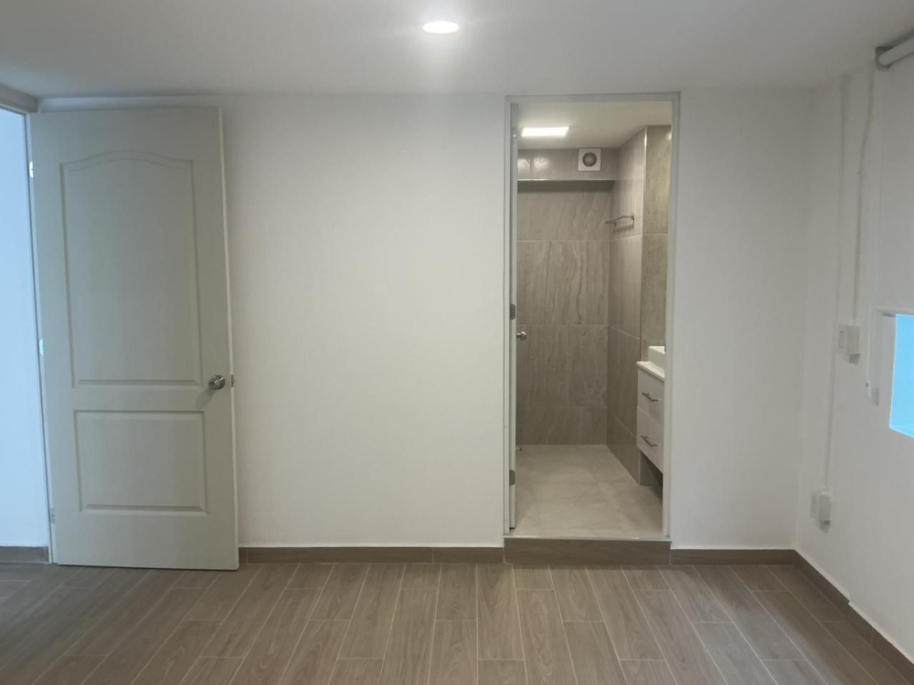Renta Departamento Remodelado Colonia Roma Norte