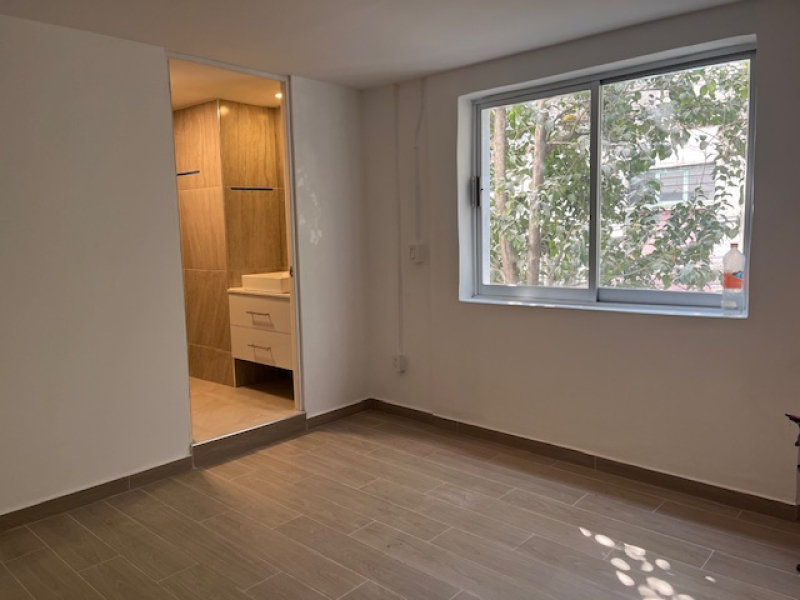 Renta Departamento Remodelado Colonia Roma Norte