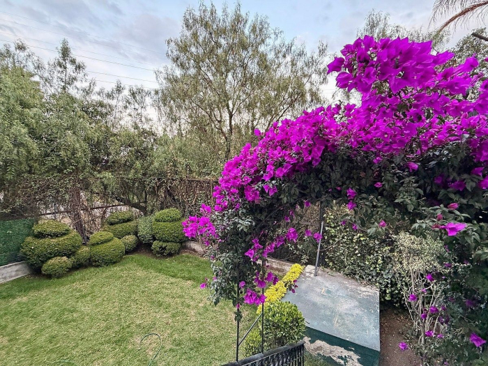 casa en renta para estrenar. lomas de la herradura: luminosa, amplia, jardín