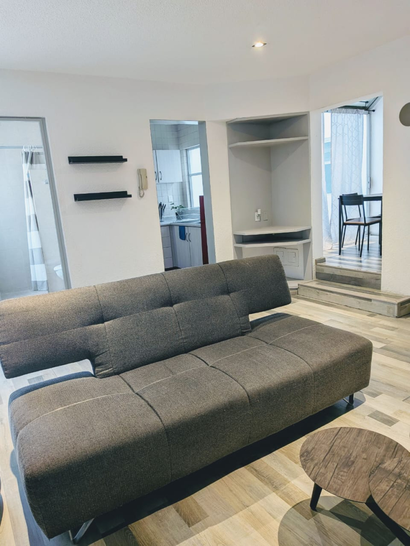 Renta departamento en polanco 