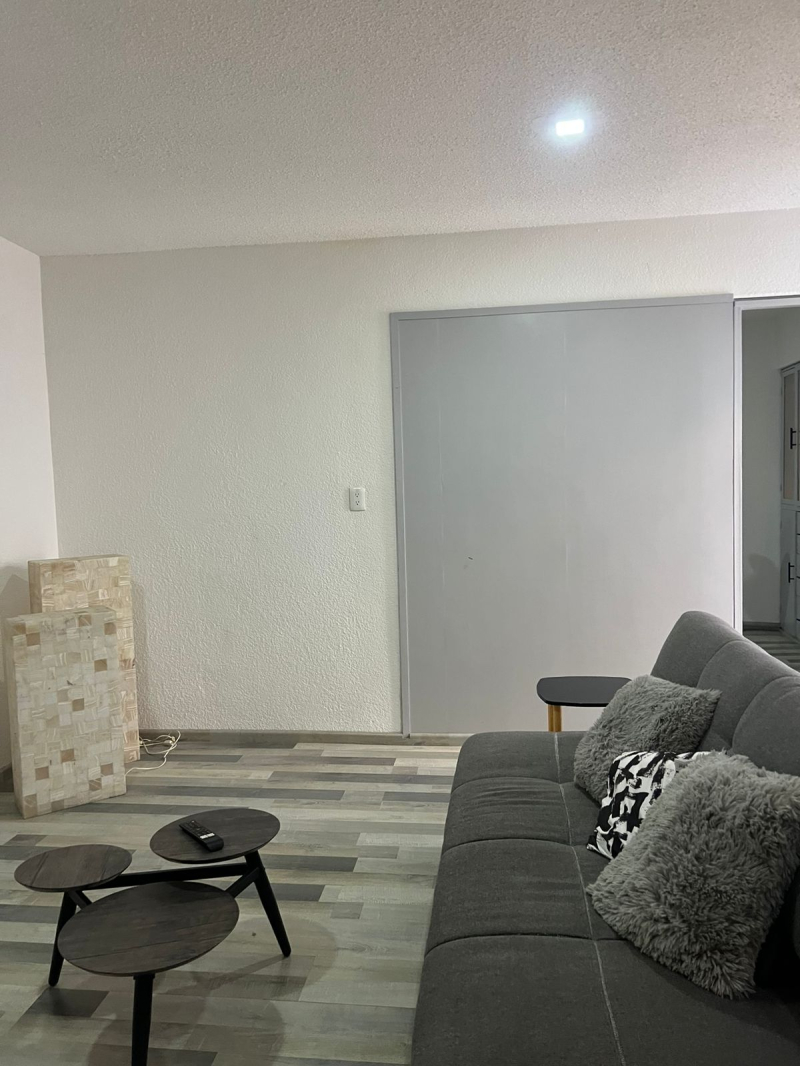 Renta Departamento En Polanco 