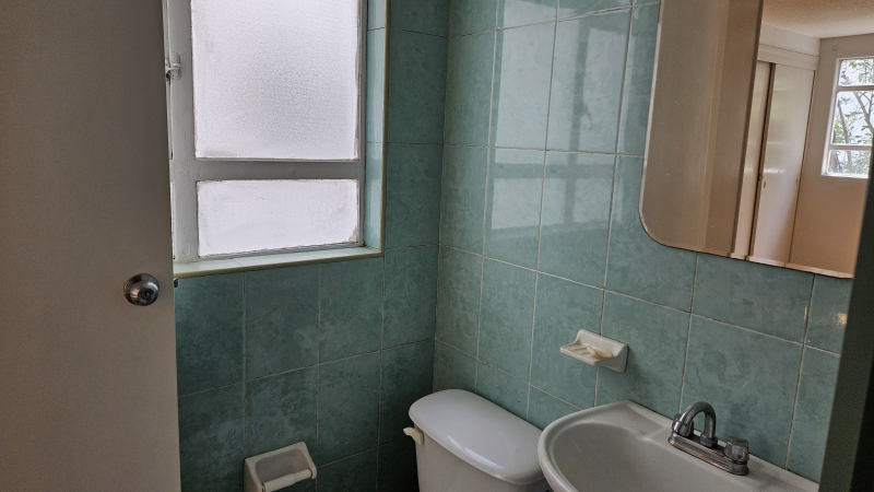 departamento en renta en del valle norte