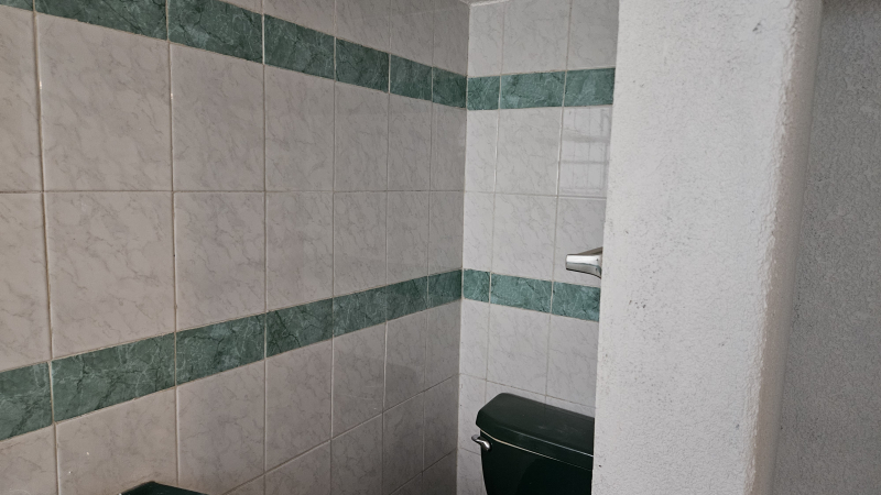 departamento en renta en del valle norte