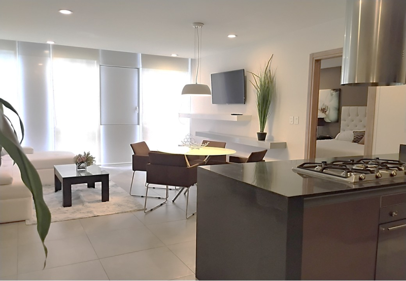 Departamento En Plaza Carso �?? Amueblado | Acceso Directo A Plaza