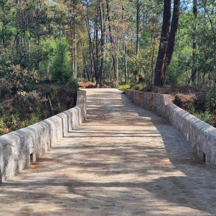 terrenos en venta “residencial avalon” huasca hidalgo