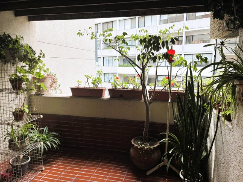 Departamento Venta En Lomas De Chapultepec Con Terraza  