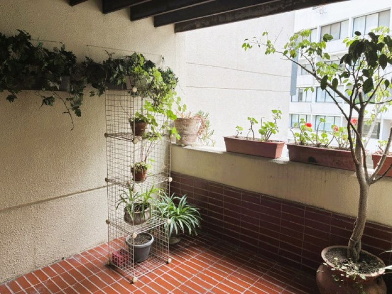 Departamento Venta en Lomas de Chapultepec con terraza  
