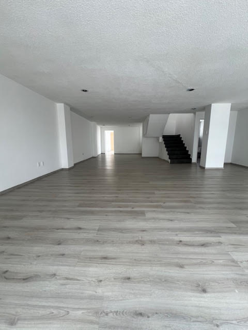 ph   en  polanco  en  renta 