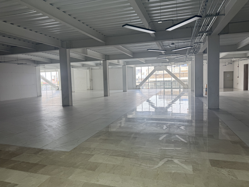 local comercial en renta en doctores 