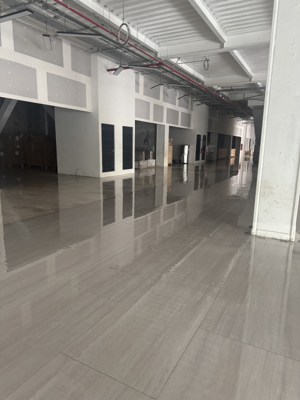 local comercial en renta en doctores 