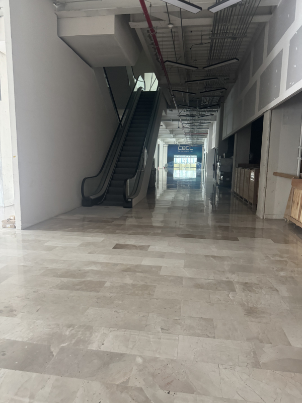 local comercial en renta en doctores 