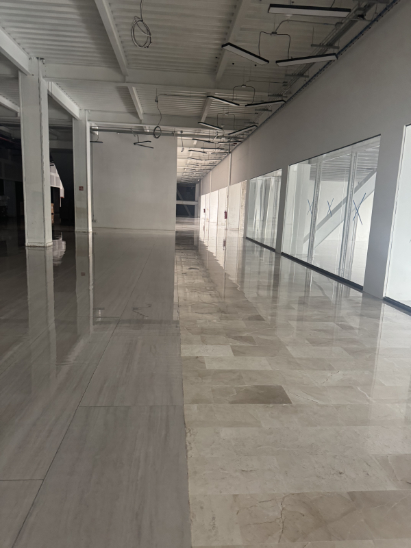 local comercial en renta en doctores 