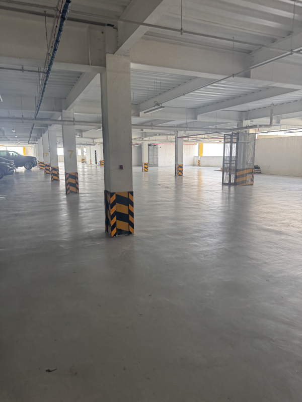 local comercial en renta en doctores 