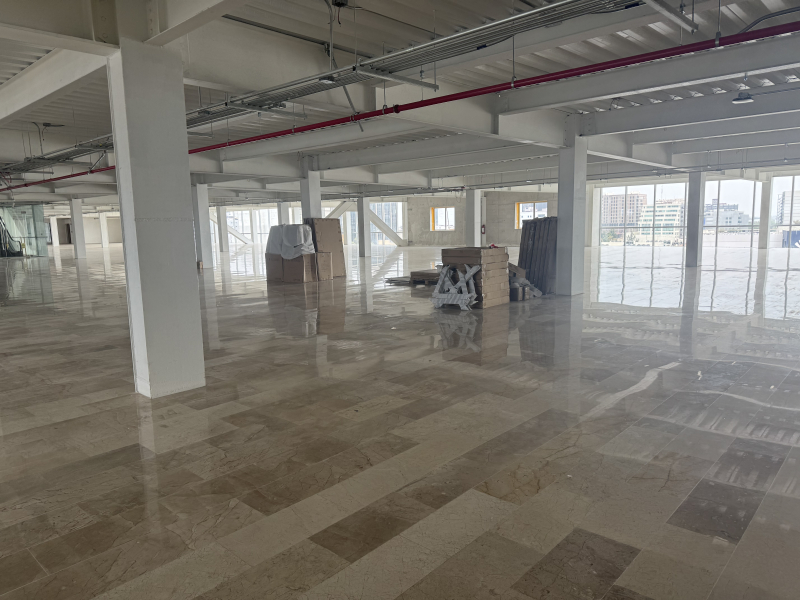 local comercial en renta en doctores 