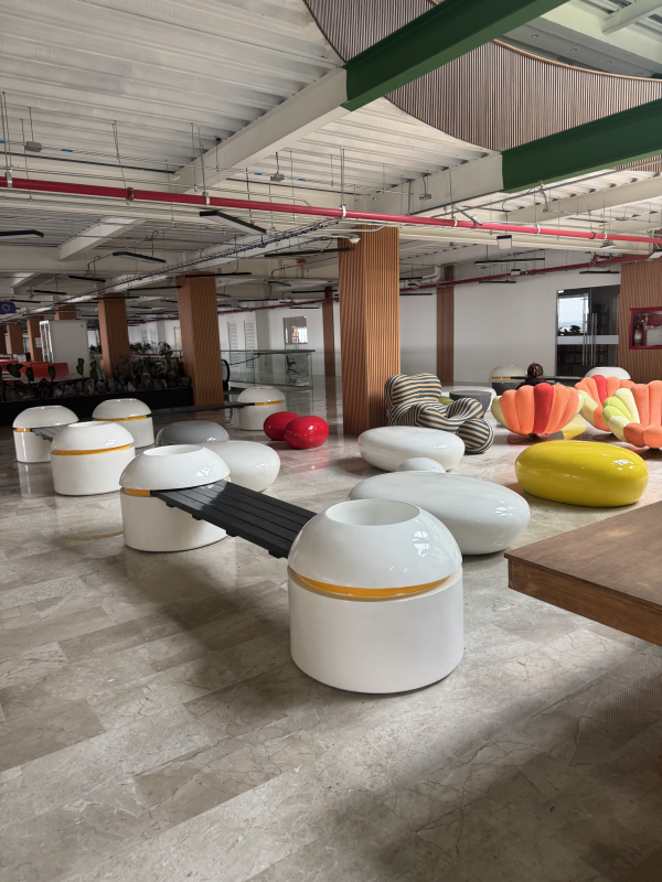 local comercial en renta en doctores 