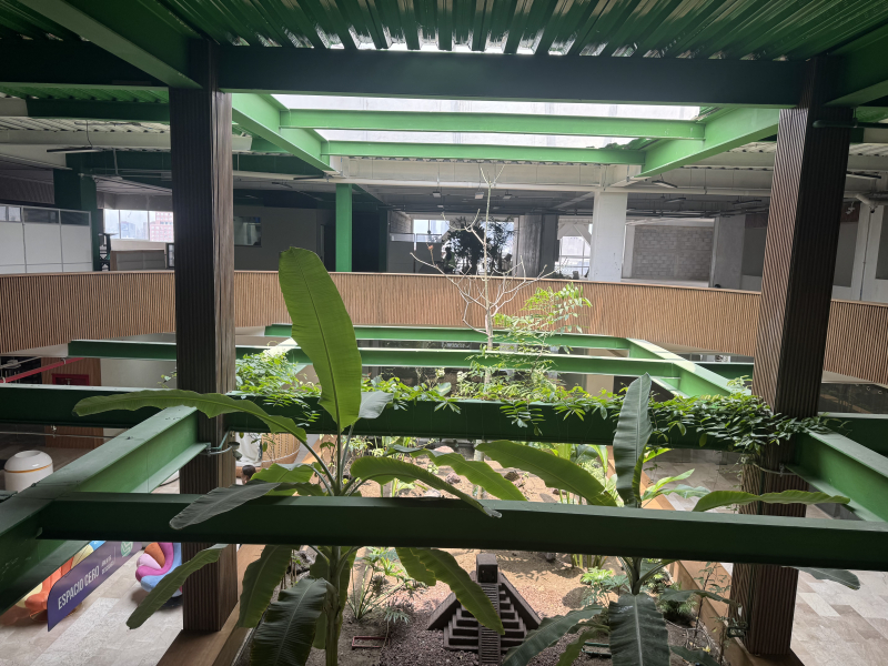 local comercial en renta en doctores 