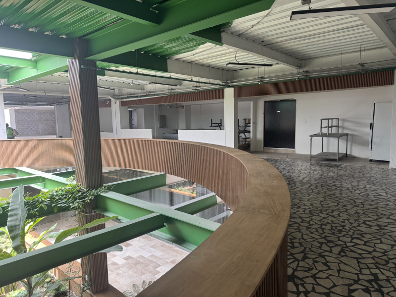 local comercial en renta en doctores 