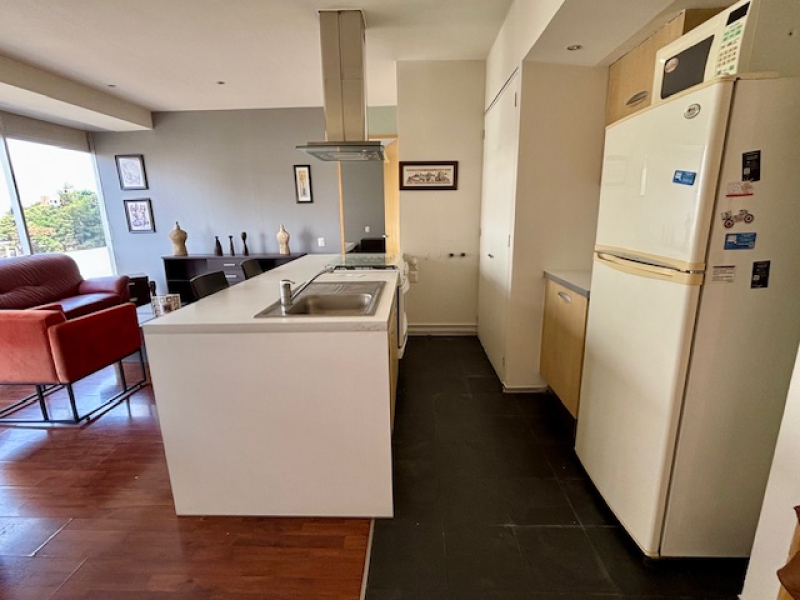 Departamento En Renta, Amueblado, Lomas Anahuac