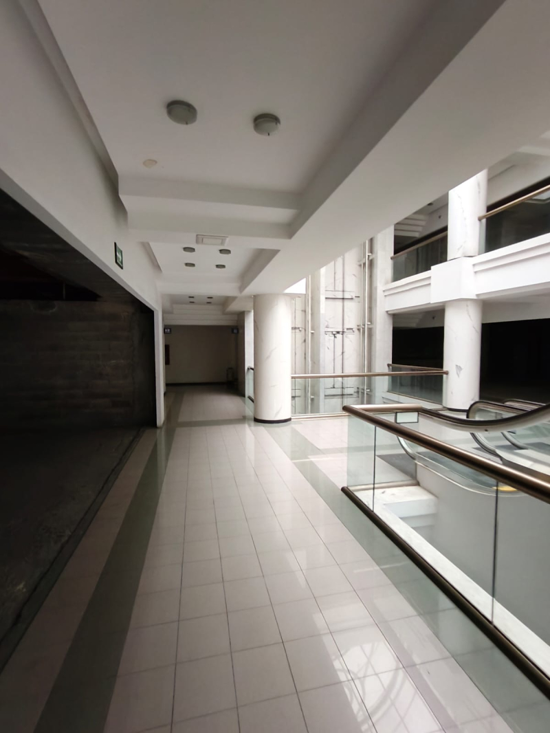 Renta De Locales Comerciales En Masaryk 