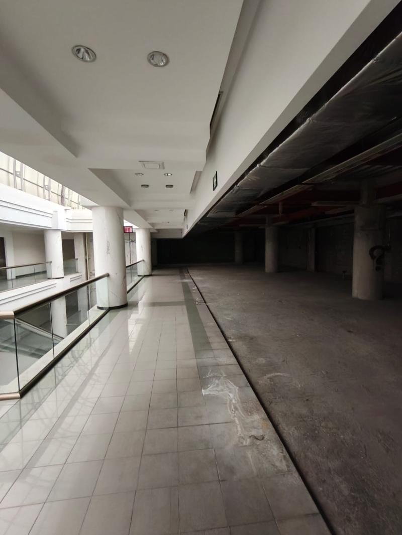 Renta De Locales Comerciales En Masaryk 