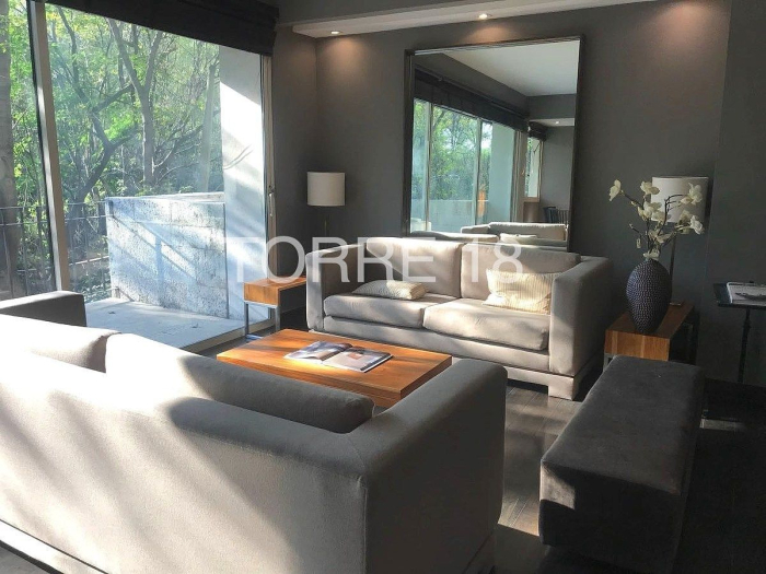 departamento amueblado en renta polanco campos eliseos
