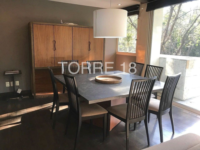 departamento amueblado en renta polanco campos eliseos