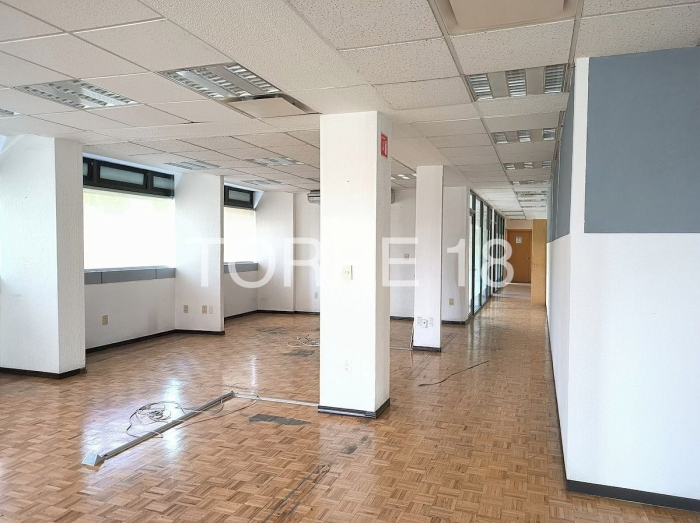 oficina en renta, colonia tabacalera, 286 m2