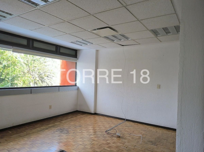 oficina en renta, colonia tabacalera, 286 m2