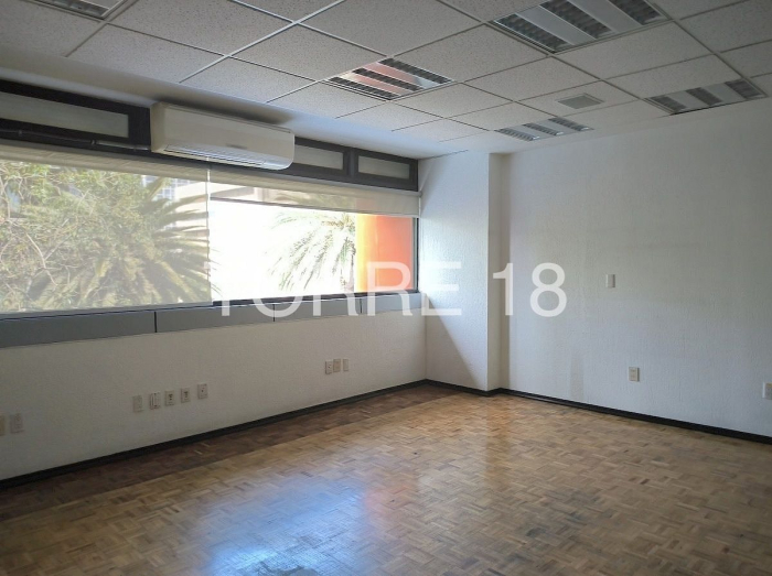oficina en renta, colonia tabacalera, 286 m2