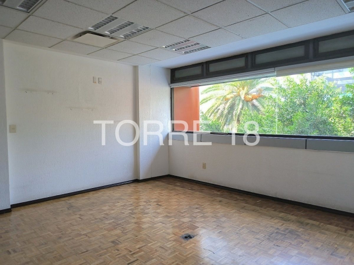 oficina en renta, colonia tabacalera, 286 m2