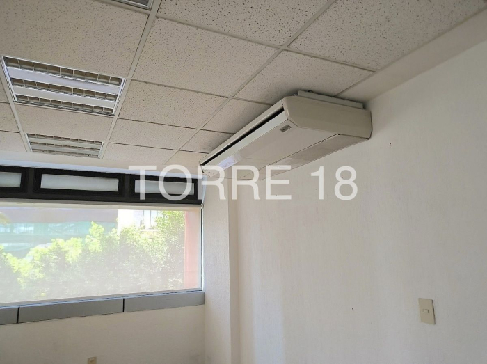 oficina en renta, colonia tabacalera, 286 m2