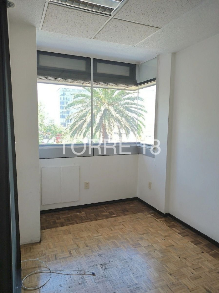oficina en renta, colonia tabacalera, 286 m2