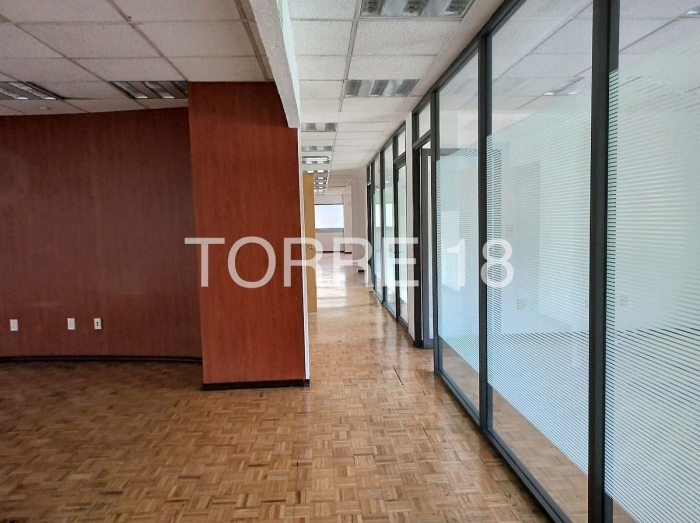 oficina en renta, colonia tabacalera, 286 m2