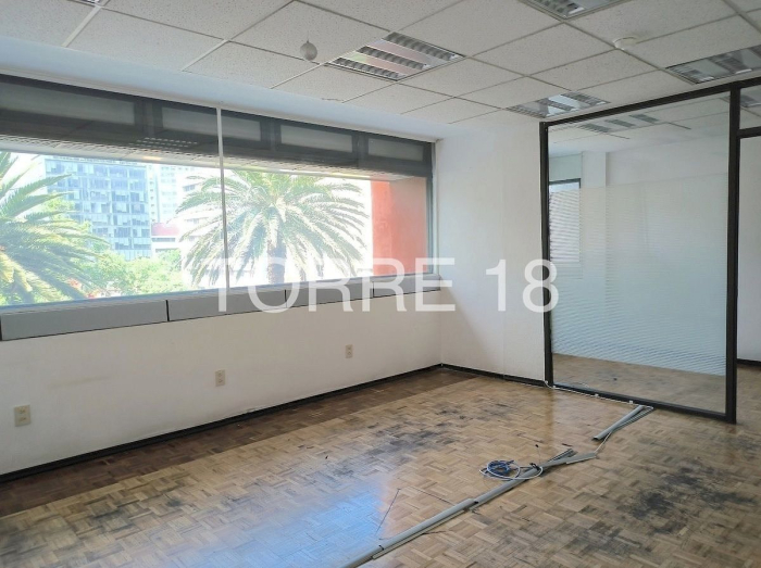 oficina en renta, colonia tabacalera, 286 m2