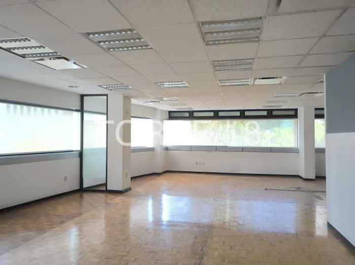 oficina en renta, colonia tabacalera, 286 m2