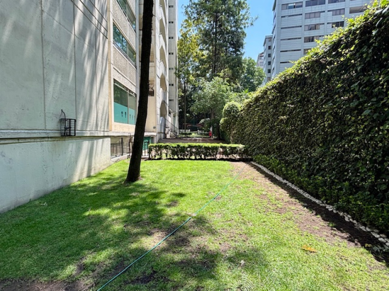 Departamento En Renta, Amueblado, Bosques De Las Lomas