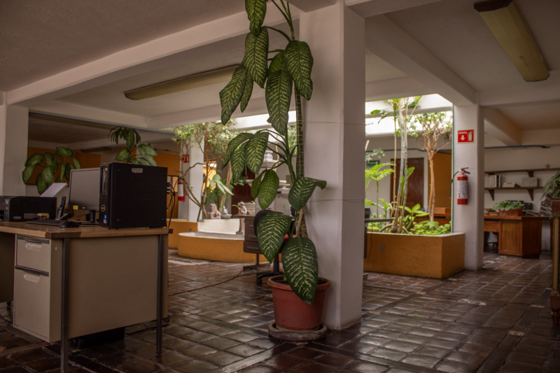 bodega en renta en industrial alce blanco