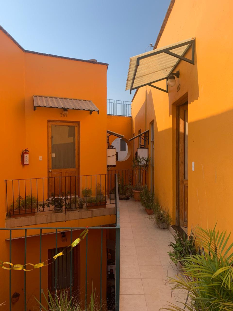 departamento en venta en colonia centro