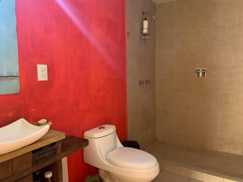 departamento en venta en colonia centro