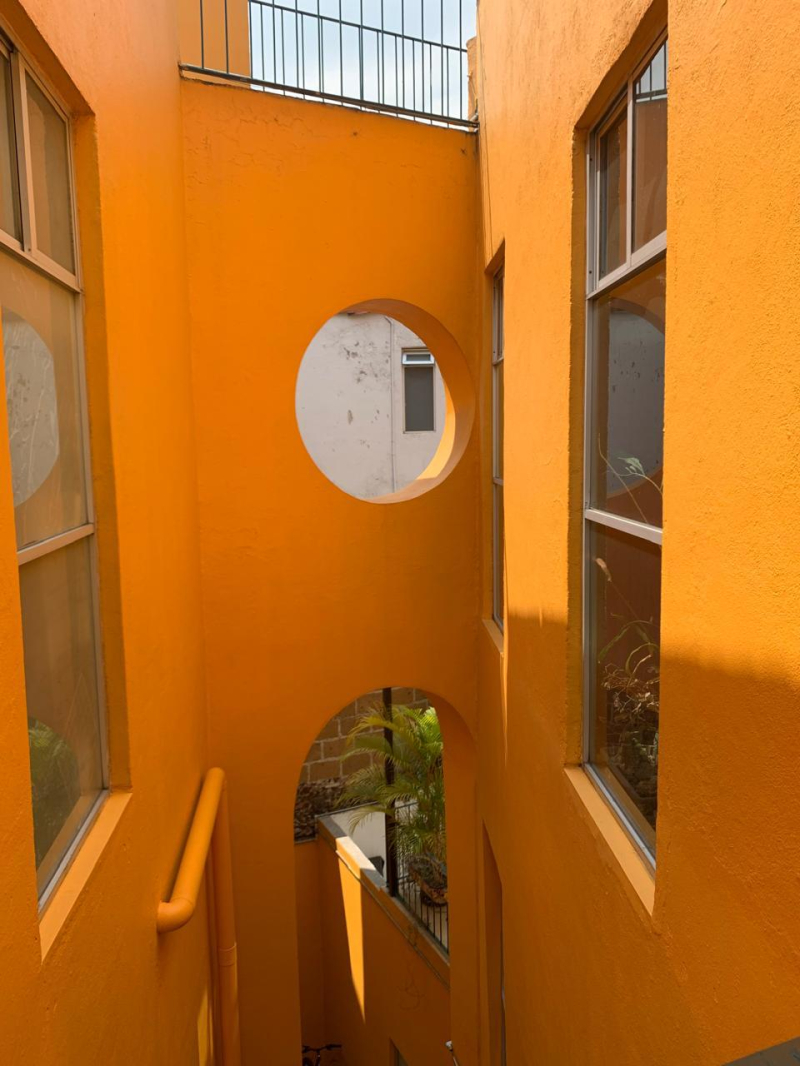 departamento en venta en colonia centro