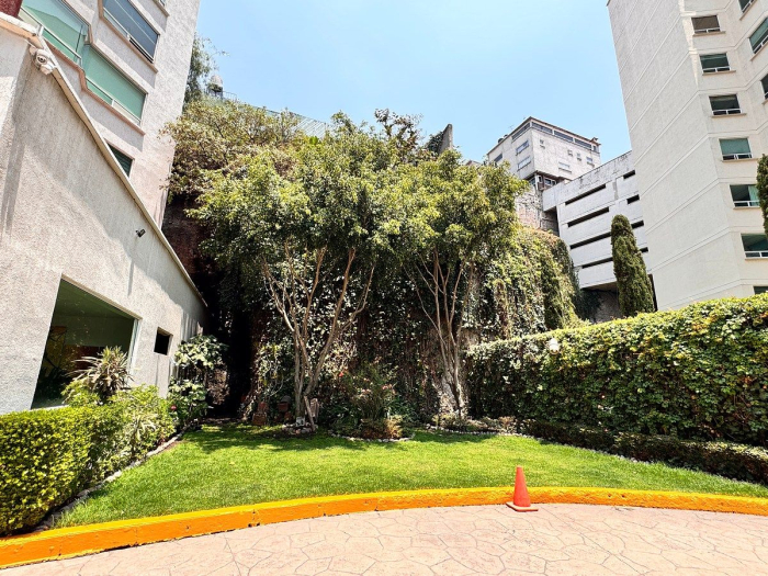 departamento en venta en palo solo