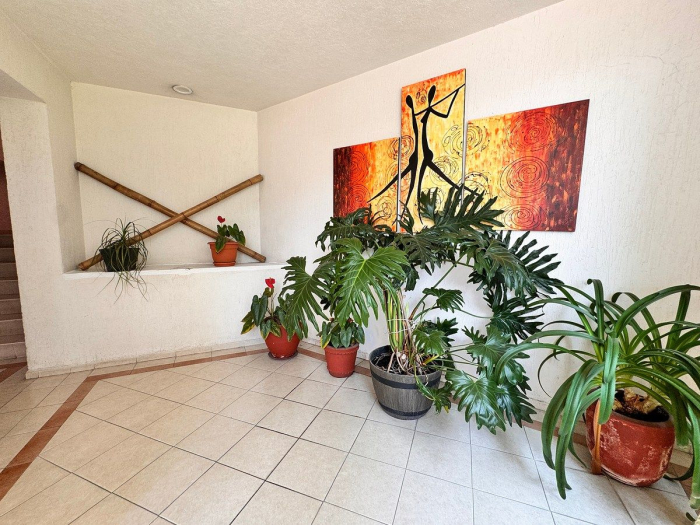 departamento en venta en palo solo