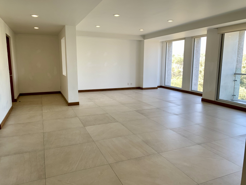 Departamento En Renta En Jardines Del Pedregal