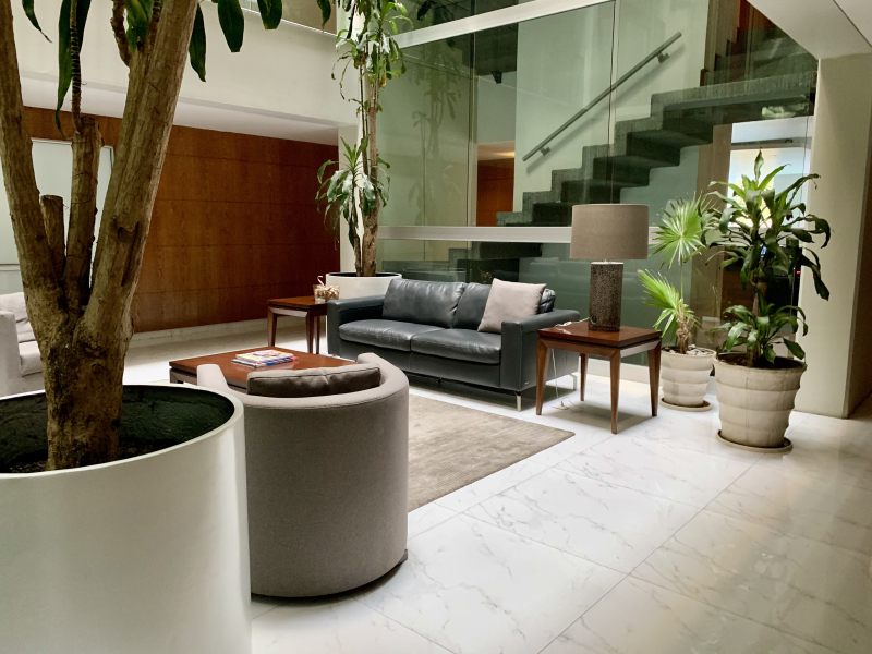 Departamento En Renta En Jardines Del Pedregal