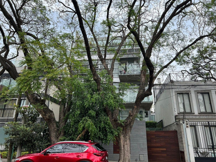 departamento renta polanco ii sección miguel hidalgo cdmx