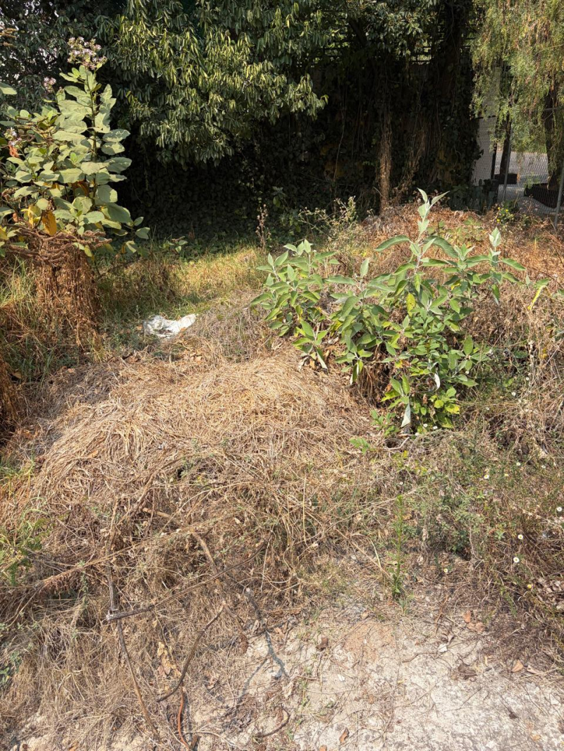 Terreno En Venta En Bosque De Las Lomas
