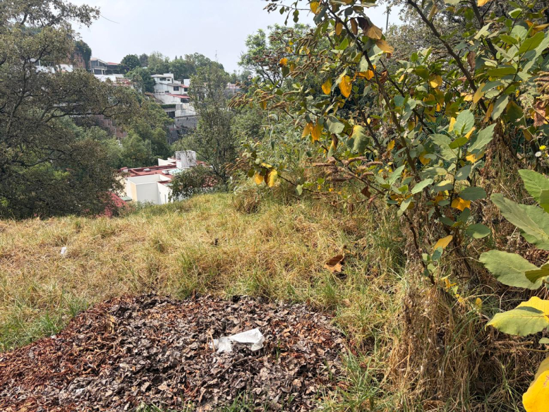 Terreno En Venta En Bosque De Las Lomas